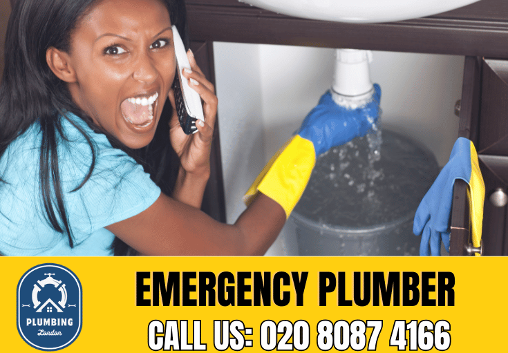 emergency plumber Camden Town