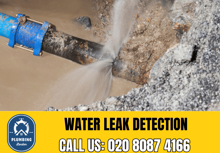 leak detection Camden Town